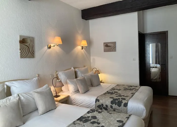 Hotel Porte De Camargue - Les Quais D\'Arles